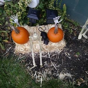 Meet your Posher, Sandra